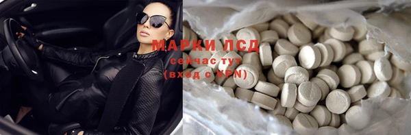 прущие грибы Арсеньев