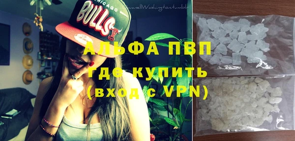 прущие грибы Арсеньев