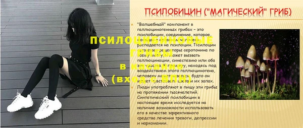 a pvp Аркадак