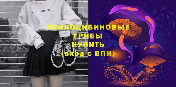 прущие грибы Арсеньев